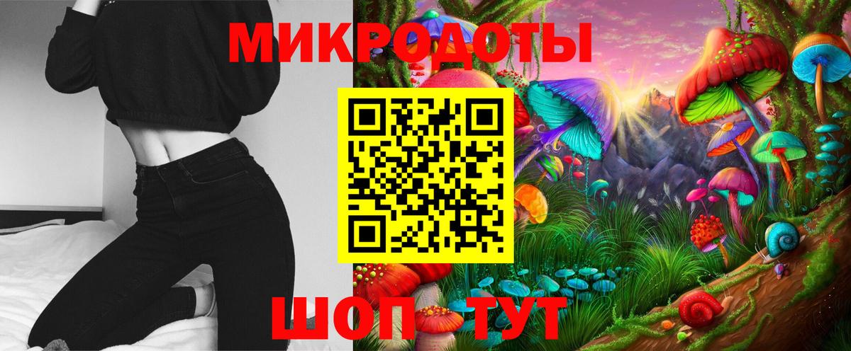 Галлюциногенные грибы Cubensis Павлово